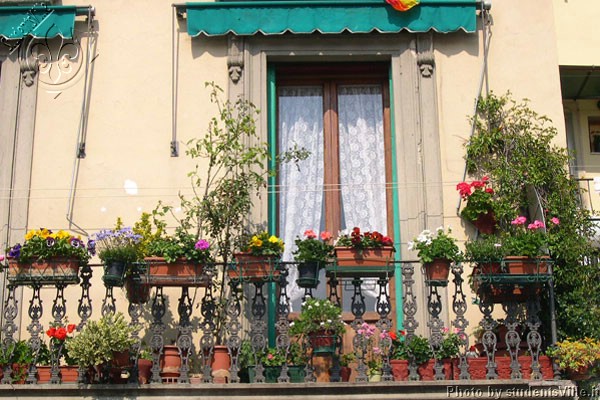 Spring in Sant'Ambrogio (600Wx400H) - Spring time in a nice terrace overlooking the Sant'Ambrogio market (Photo by Marco De La Pierre) 