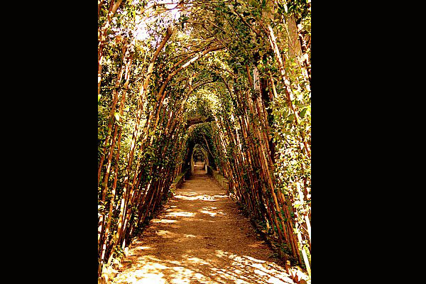 Boboli Gallery (600Wx400H) - Walk through the Boboli Gardens. Especially in Spring time this will be an unforgettable experience!
(Jacqueline Ahn, from New York currently studying at Polimoda in Florence) 