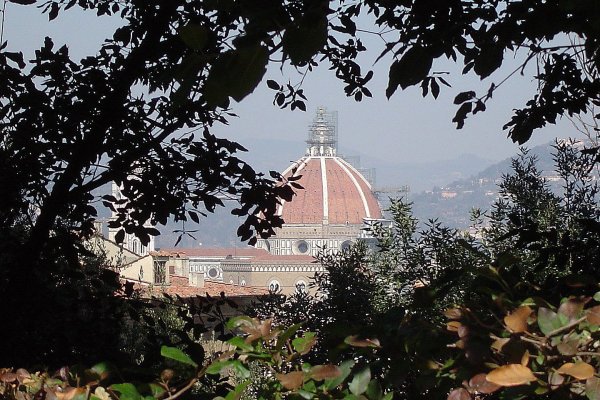 Through the trees (600Wx400H) - The Duomo...looking through the trees. (Jacqueline Ahn, from New York currently studying at Polimoda in Florence) 
 