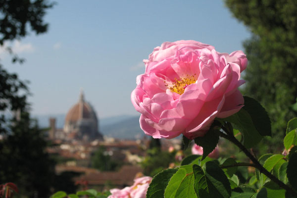 Duomo and Flowers (600Wx400H) - View of Duomo from the 