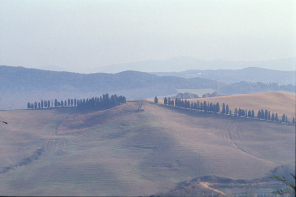 Tuscany landscape (600Wx400H) - Tuscany. A vision. (Photo Courtesy of <a href='http://www.studentsville.it' target='_blank'>studentsVille.it</a>) 