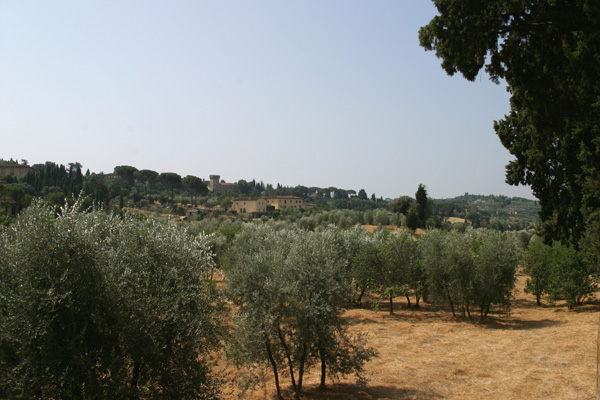 Monte Oliveto, Florence (600Wx400H) - Wanna enjoy a real Tuscan landscape staying in the city center? Then 