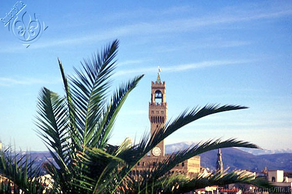 Florentine oasis (600Wx400H) - Palm tree on a Florentine terrace (Photo by Marco De La Pierre) 