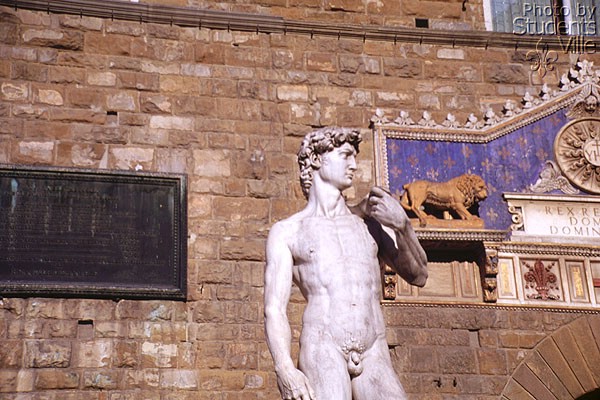 David (600Wx400H) - The copy of the David [Michelangelo - 1501] in front of Palazzo della Signoria.(Photo by Paolo Ramponi) 