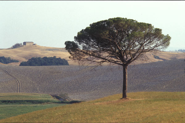 Southern Tuscany (600Wx400H) - Maremma View, Southern Tuscany (Photo Courtesy of <a href='http://www.studentsville.it' target='_blank'>studentsVille.it</a>) 