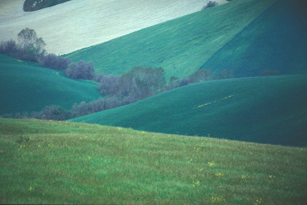Tuscan Hills (600Wx400H) - Sweet hills of Tuscany (Photo Courtesy of <a href='http://www.studentsville.it' target='_blank'>studentsVille.it</a>) 