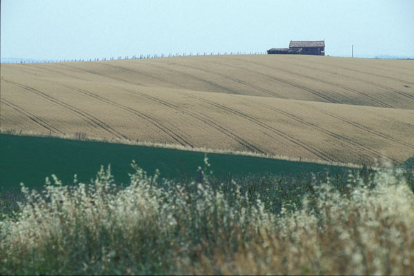 Fields (600Wx400H) - Fields (Photo by Claudio Cagnola) 
