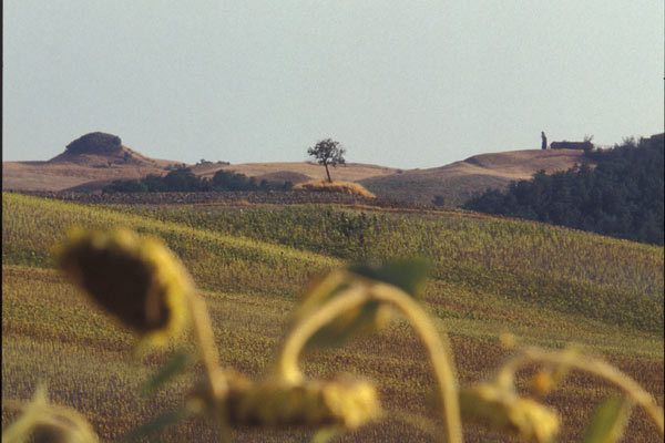 Tuscany, a view (600Wx400H) - Tuscany (Photo Courtesy of <a href='http://www.studentsville.it' target='_blank'>studentsVille.it</a>) 